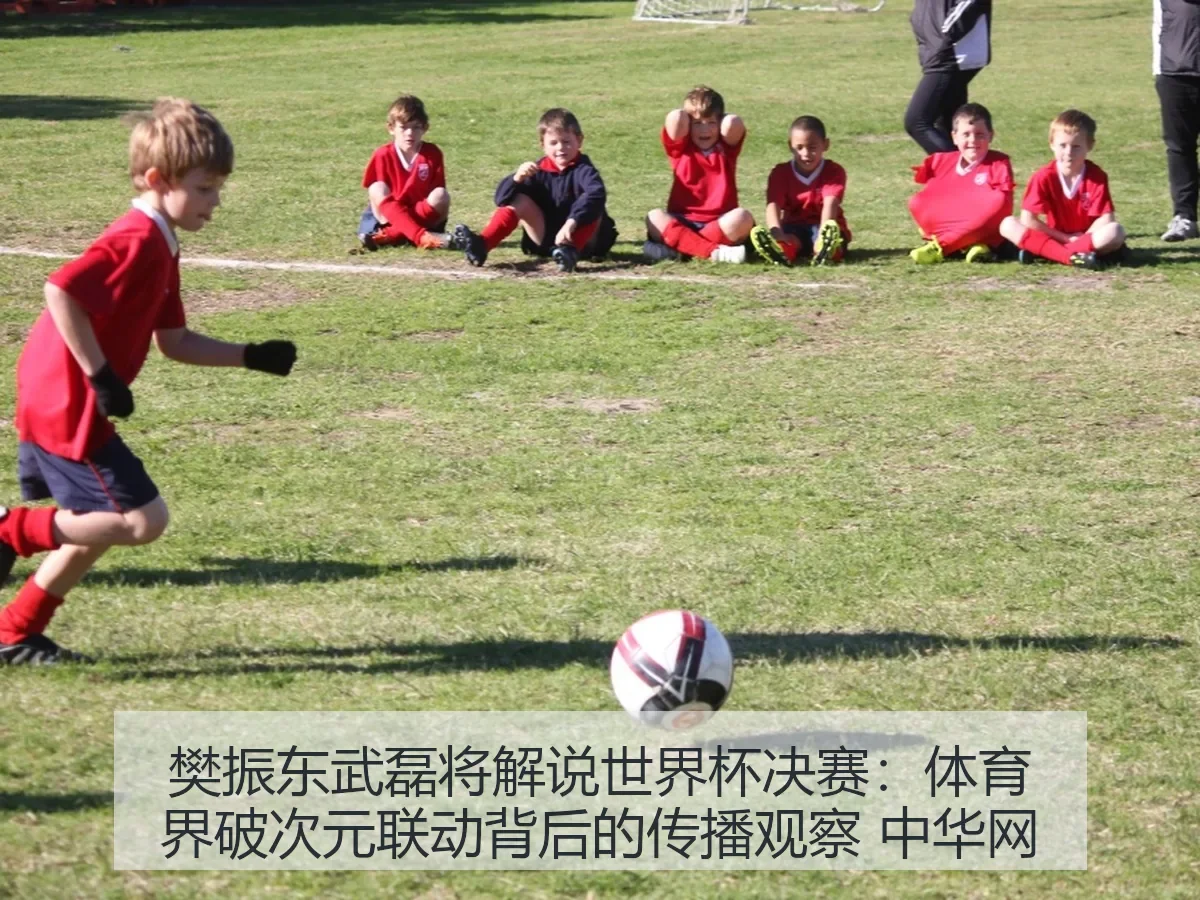 樊振东武磊将解说世界杯决赛：体育界破次元联动背后的传播观察